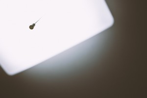 PAK88_tenjyounorito500-thumb-1200x800-5541